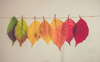 Seizoenscampagnes: zo val je op met drukwerk in de herfst